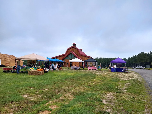 Mineral Farmers Market