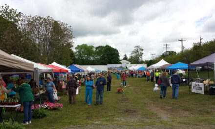 Beyond The Lake: Mineral Farmer’s Market