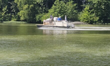 Lake Advisory Group Flexes Harmful Algae Mitigation Plan Due To Low Flow