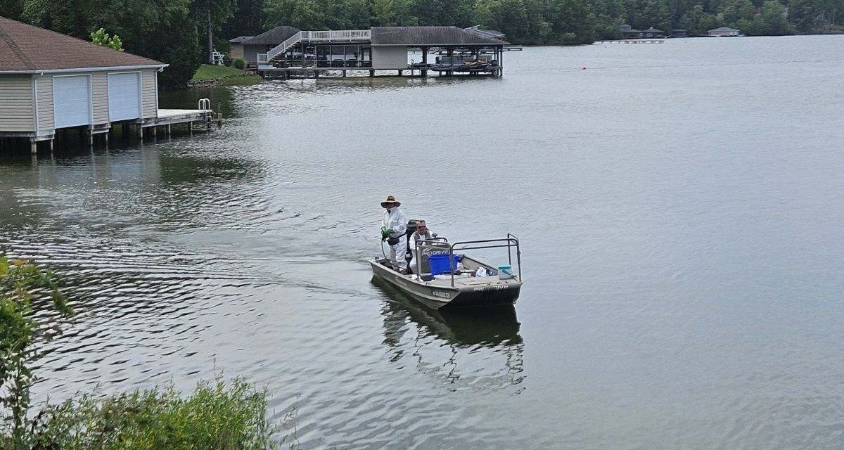 LAAC Managing And Monitoring Hydrilla Throughout Lake