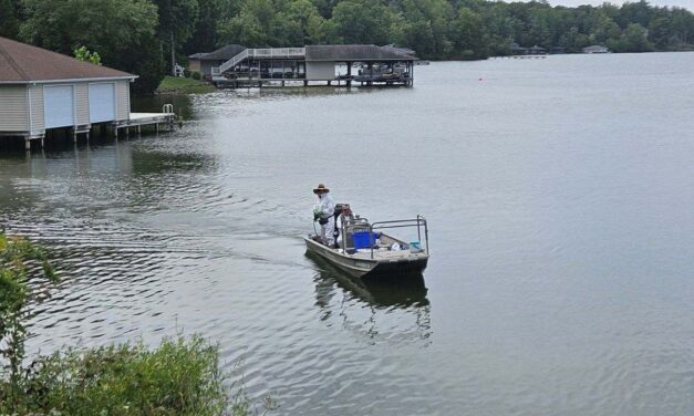 LAAC Managing And Monitoring Hydrilla Throughout Lake