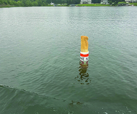 Lake Advisory Group Looking To Contract Out Buoy Maintenance