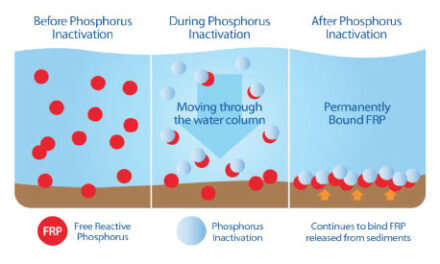 Phosphorus Mitigation Efforts Again Underway At Lake Anna