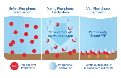 Phosphorus Mitigation Efforts Again Underway At Lake Anna