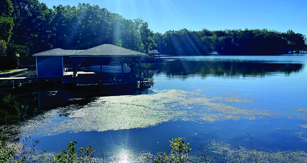 Hydrilla Returns To Lake Anna, What Lake Planners Are Doing To Manage It