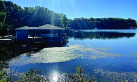Hydrilla Returns To Lake Anna, What Lake Planners Are Doing To Manage It