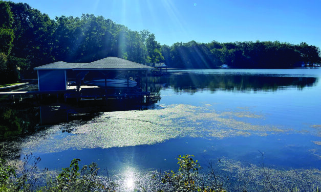Hydrilla Returns To Lake Anna, What Lake Planners Are Doing To Manage It