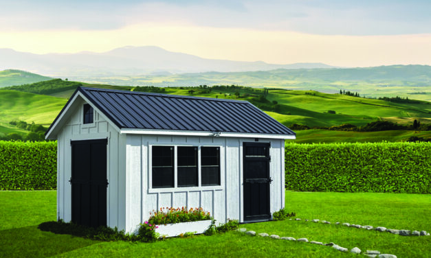 From She Sheds to Man Caves, Custom Shed Builder Setting Lake Anna Standard