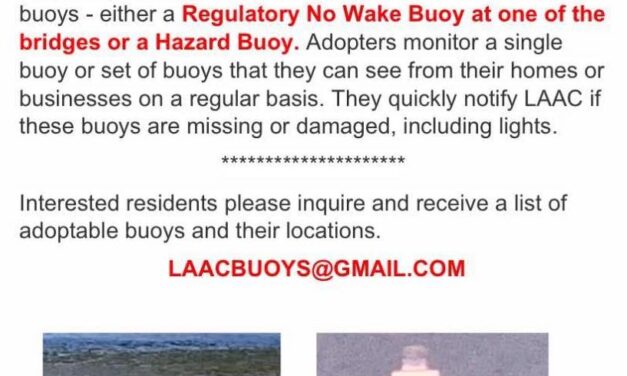 Lake Anna Advisory Committee Votes To Institute Adopt A Buoy Program