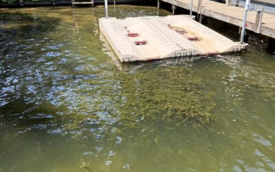 Dominion Energy Releases Lake Anna Reservoir and Waste Heat Treatment Facility Aquatic Vegetation Management & Removal Policy