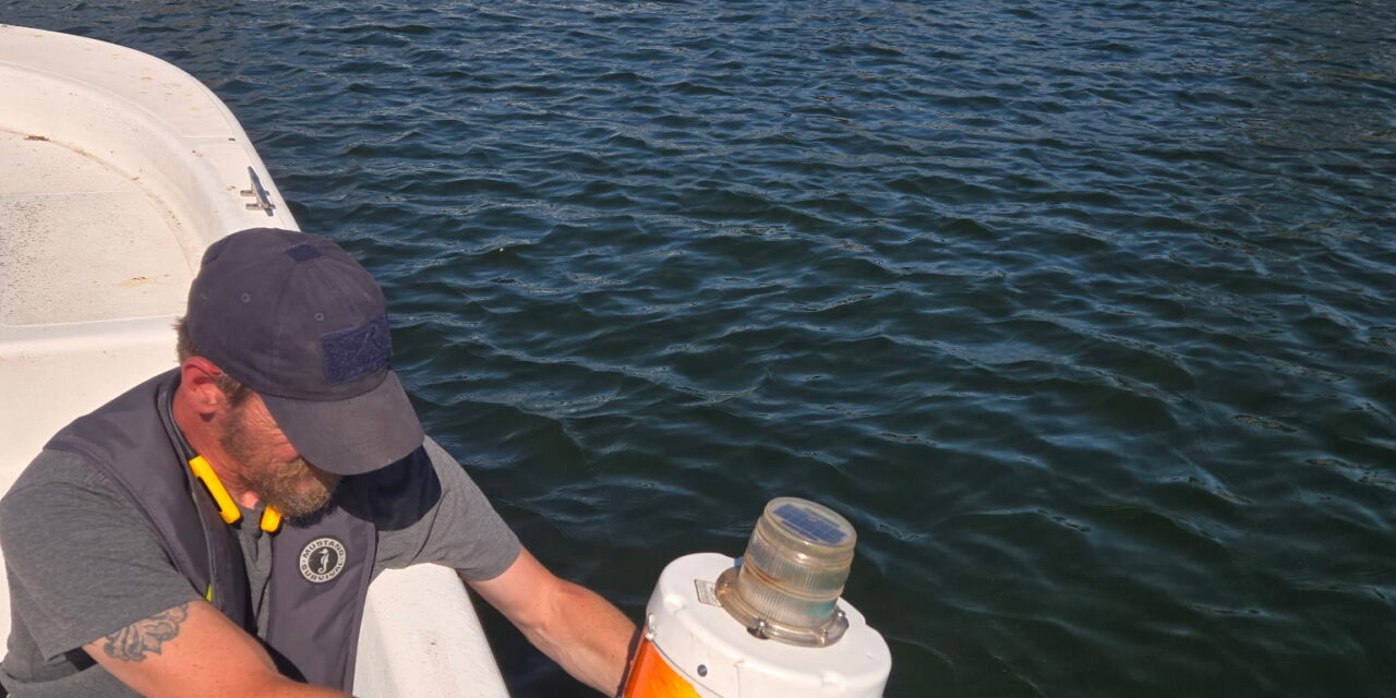 State Allocates Funds For Lake Anna Buoys, Hydrilla And Algae