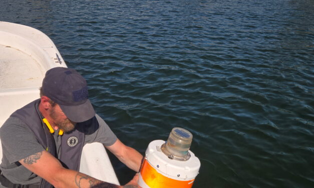 State Allocates Funds For Lake Anna Buoys, Hydrilla And Algae